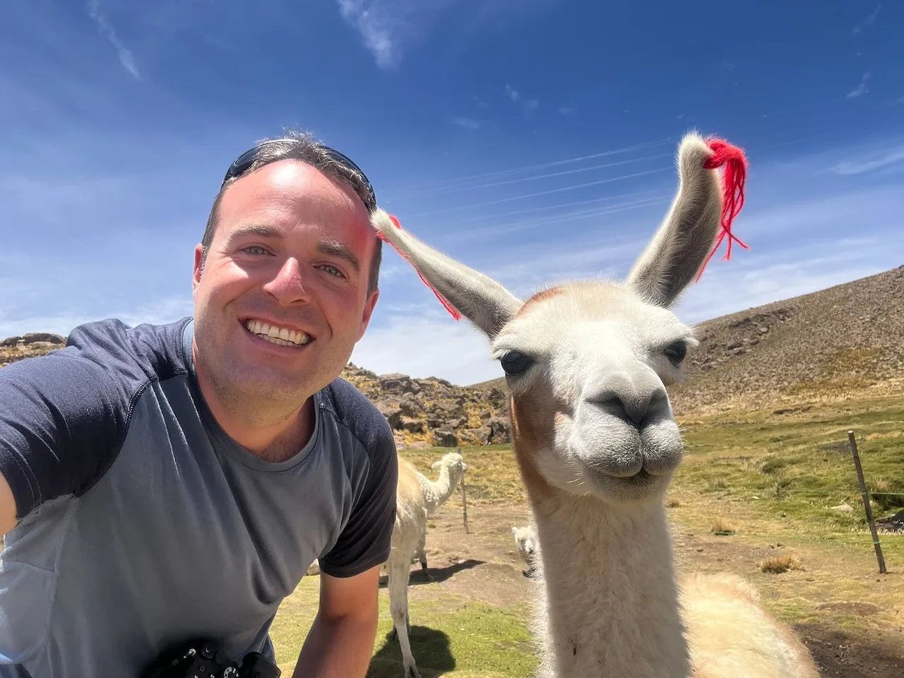 Jan Miřacký taking a selfie with a curious alpaca in the Peruvian highlands